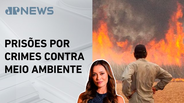 Apenas um em cada 400 crimes ambientais acaba em prisão; Patrícia Costa comenta