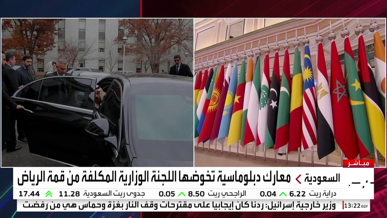"اللجنة الوزارية المشتركة" تحشد الرأي العام العالمي لتأييد حل الدولتين