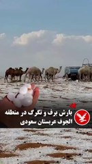 ¿Un mal presagio? El desierto de Arabia Saudita se cubre de nieve por primera vez en su historia
