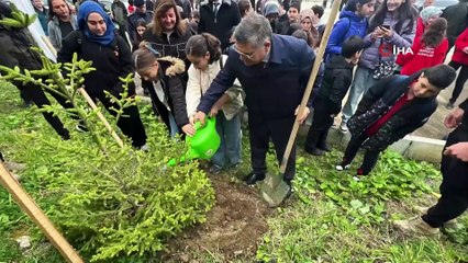 Sinop'ta 11 bin 610 fidan toprakla buluştu