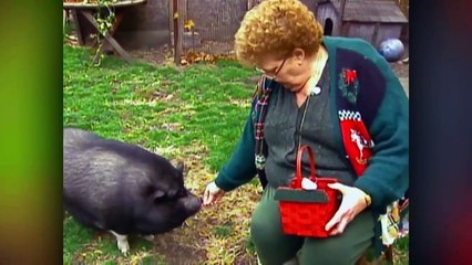 37 Hero Animals That Saved Human Lives !