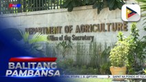 P800-M halaga ng agri inputs, inilaan ng D.A. para sa mga sakahang apektado ng Bagyong #MarcePH