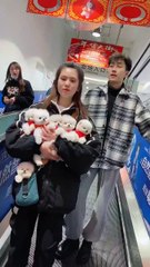 Pomeranian dogs adorable moments in public _shorts