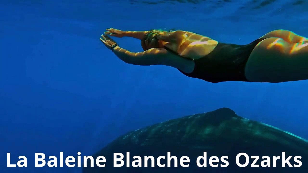 La baleine blance des Ozark