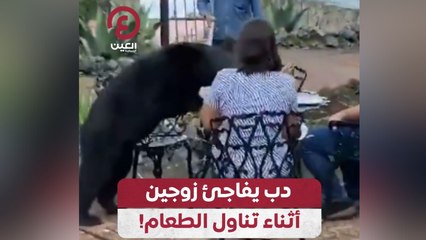 دب يفاجئ زوجين أثناء تناول الطعام!