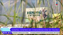 Animales de vida silvestre reciben una segunda oportunidad en García, Nuevo León