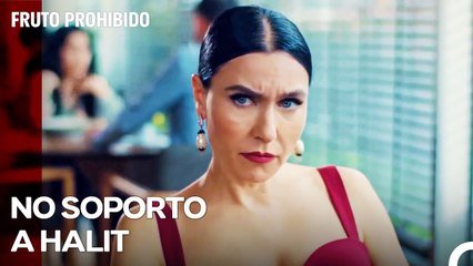 Ender Quiere Divorciarse De Halit - Fruto Prohibido Capitulo 4