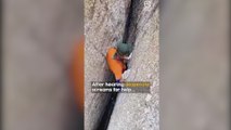 Piden un premio humanitario a un hombre que desciende por el barranco de la claustrofobia tras oír gritos de ayuda