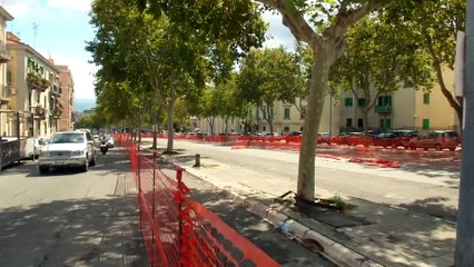 Rtp telegiornale dell'11 novembre 2024