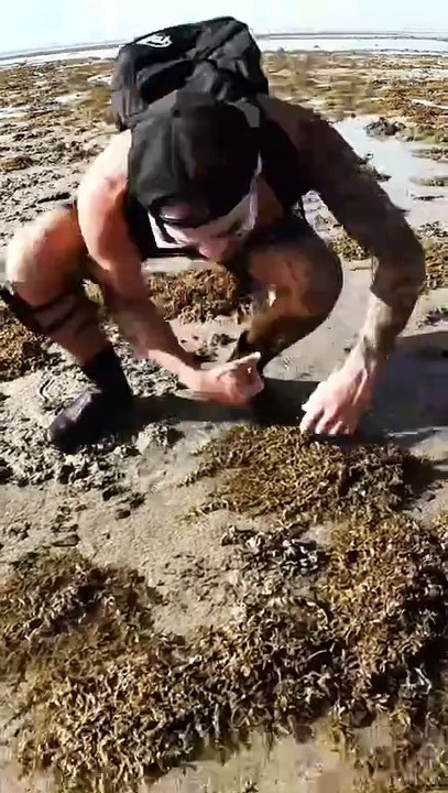 found this little tusk fish trapped in a small low tide pond which was drying up in the summer h_