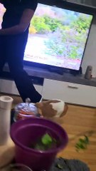 La insólita reacción de una perrita tras ver a su dueño limpiar con una aspiradora 