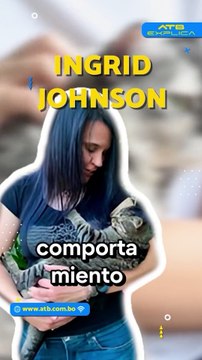 ¿Por qué a los gatos no les gustas los ambientes cerrados?.