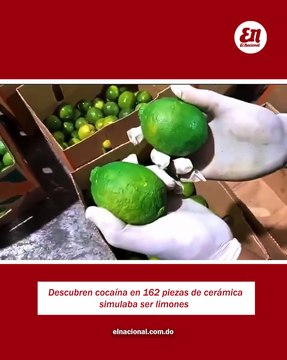 Descubren cocaína en 162 piezas de cerámica simulaban ser limones