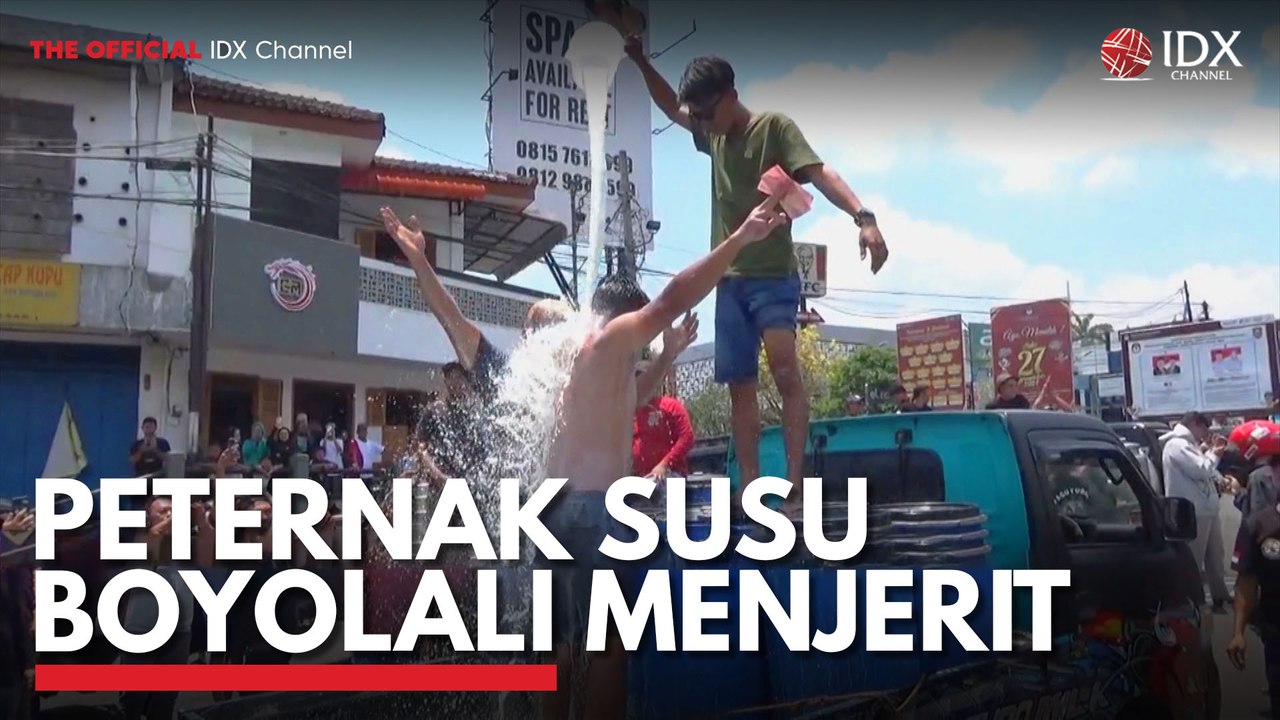 Peternak Susu Boyolali Menjerit