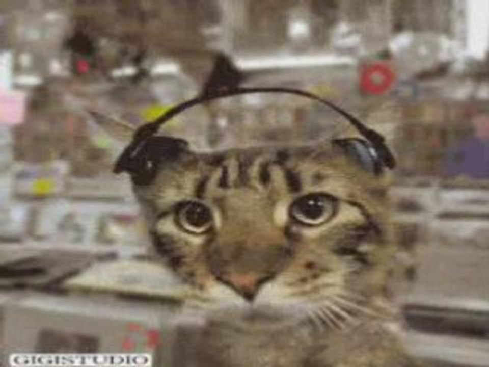 Chat techno