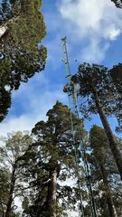 Timelapse CL-ACF flux tower 1