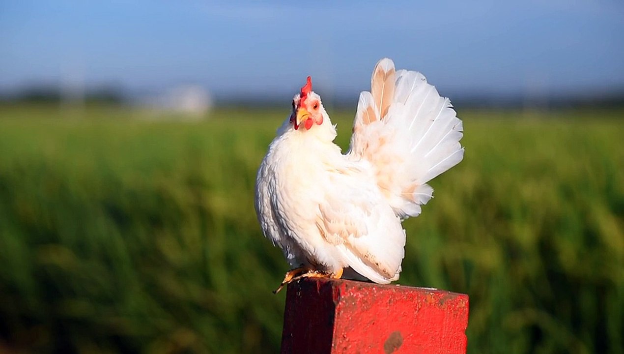 188986-884171293_small