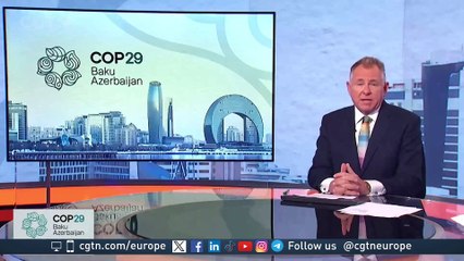 COP29 Summit: "China is biggest developer of renewable energy"