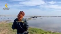 Dispositivo de búsqueda de desaparecidos en la Albufera.