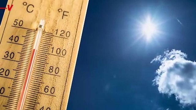 Are Companies Lying About Fighting Climate Change? This Report Seems to Think So