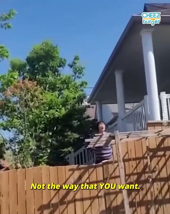 Neighbors Wage Intense War Over A Shared Fence