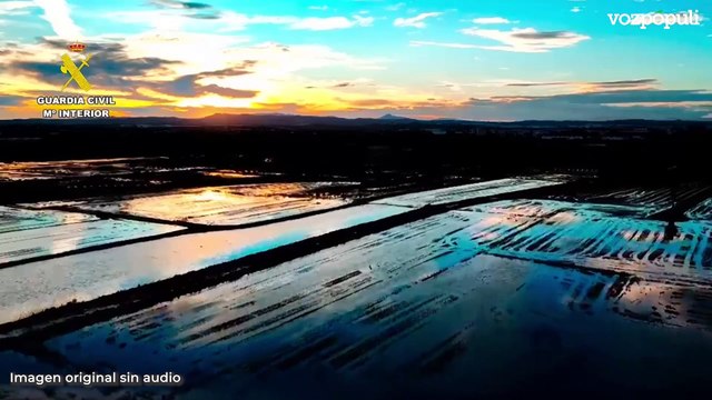 La Guardia Civil continúa con el dispositivo de búsqueda de desaparecidos en la Albufera