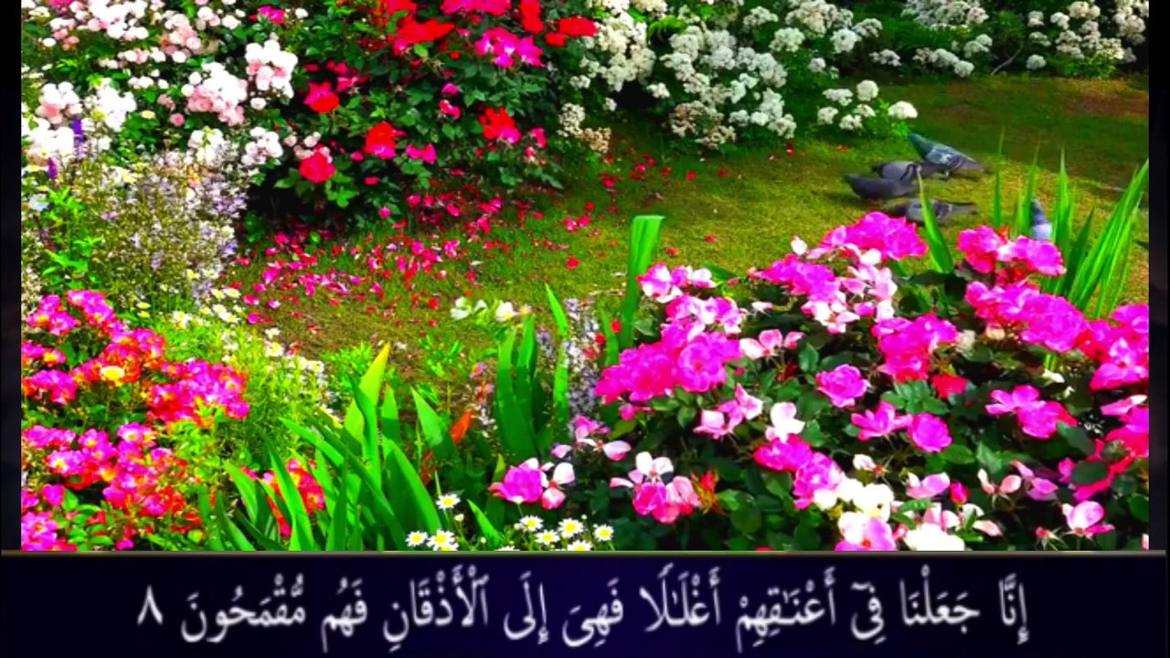 Surah Yasin | سورۃ یس  with Arabic Taxt and Movie of Beautiful Scenes