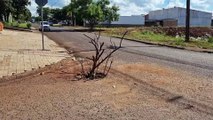 Galhos sinalizam perigo: moradores do Santa Cruz alertam para buraco em cruzamento