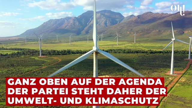 Bündnis 90/Die Grünen: Fakten