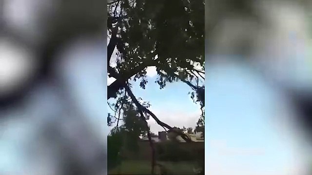 Córdoba: un fuerte temporal de viento y lluvia arrasó el pueblo de La Playosa