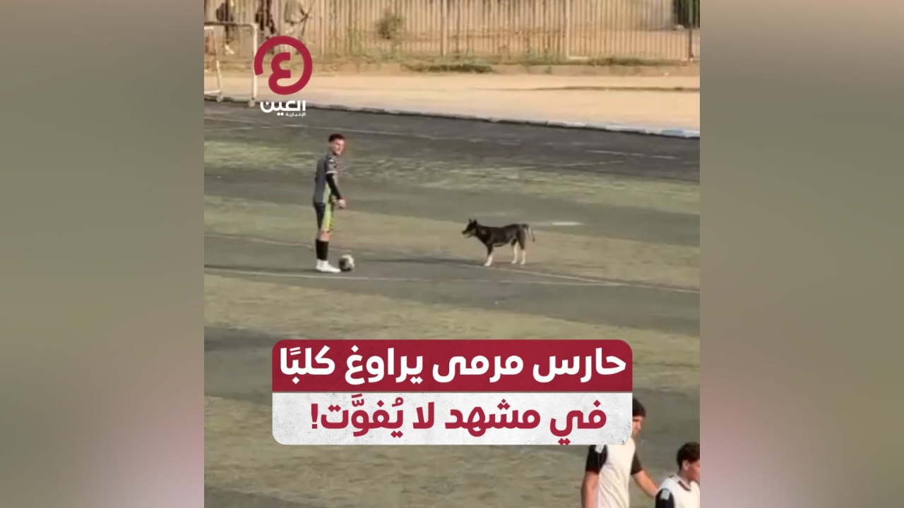 حارس مرمى يراوغ كلبًا في مشهد لا يفوت!