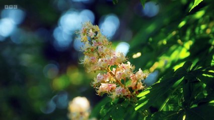 Dinners Episode 3 Featuring Hamza Yassin 🍽️