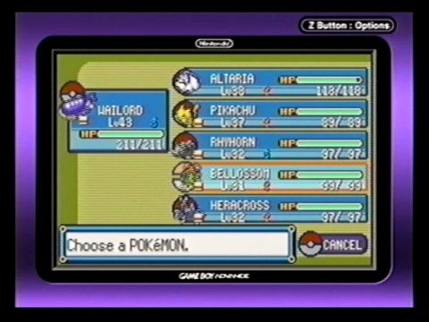 Pokemon Emerald - Rival Encounter (Route 119)