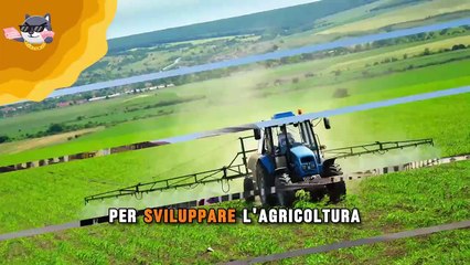 Turismo di Massa e Agricoltura_ Come Rilanciare il Sud Italia_