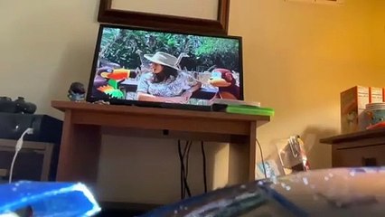 The Wheels On The Bus TV Series: The Reptile Show Part 1