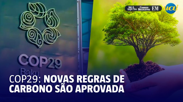 COP29 aprova regras de mercados de carbono da ONU