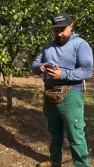 vieni a rifarti gli occhi