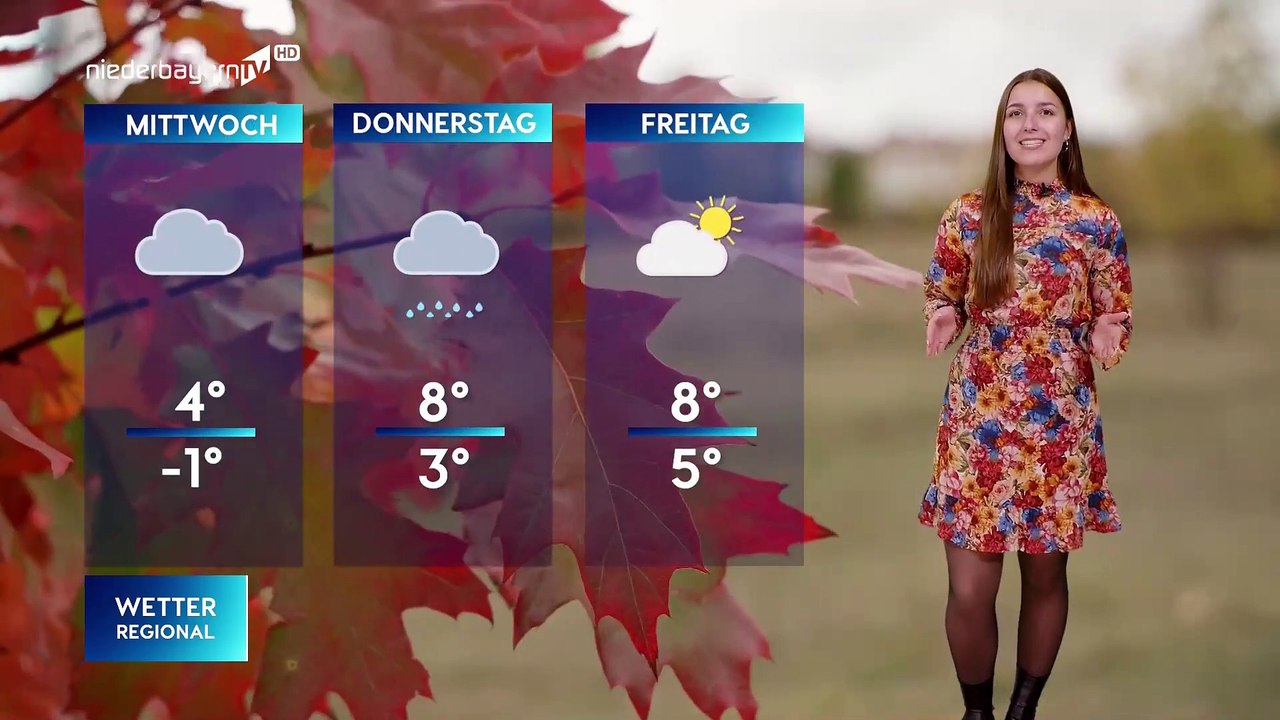 Anja Gembries Wetter prognose (11/11/2024)