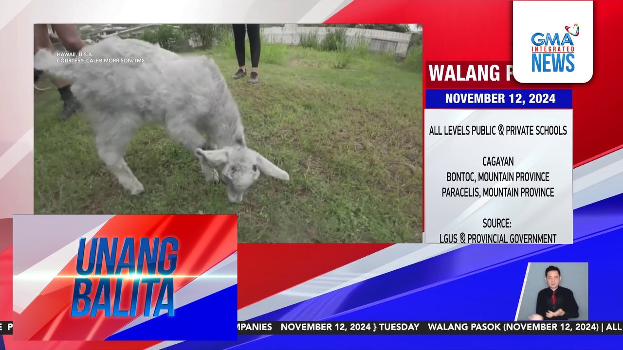 Batang kambing na apat na araw nang stranded sa tabi ng bundok, nailigtas ng grupo ng hikers | Unang Balita