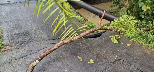 Colapso de puente afecta a más de 25 mil personas en Barú