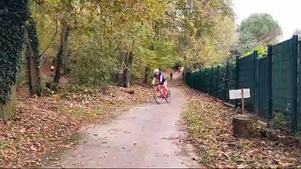 Cyclo-cross à Bièvres