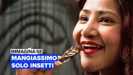 Immagina se: mangiassimo solo insetti