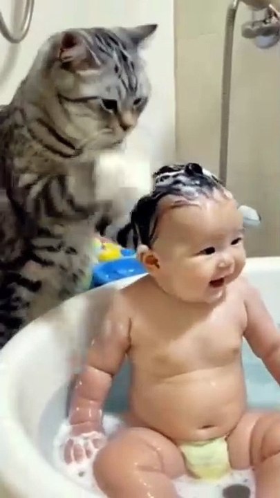 Cats part 1