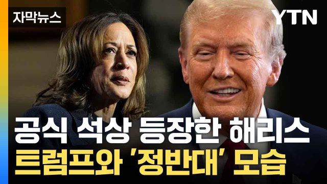 [자막뉴스] 트럼프, 새 내각 꾸린다... 일론 머스크 이어 누구? / YTN