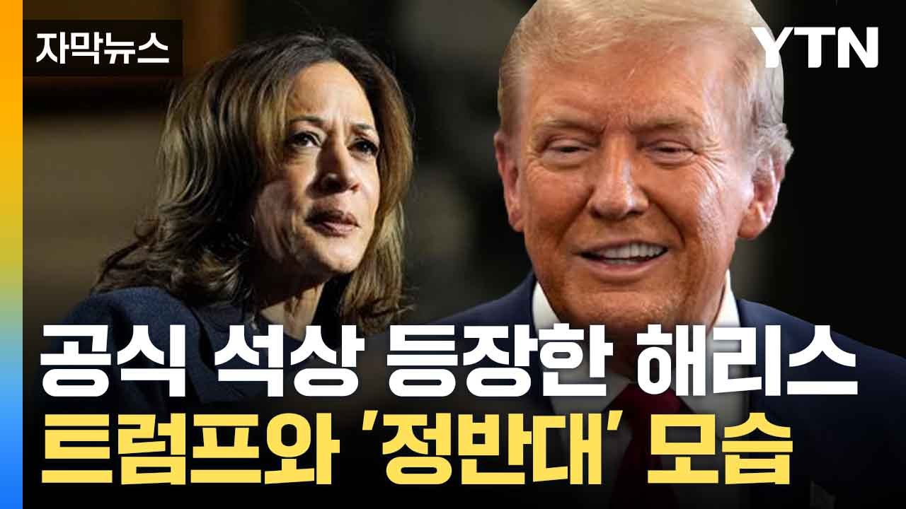 [자막뉴스] 트럼프, 새 내각 꾸린다... 일론 머스크 이어 누구? / YTN