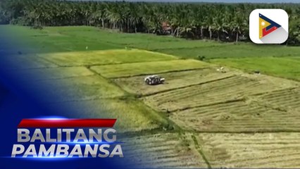 Mas maraming retiradong empleyado, nais ilaan ang oras at investment sa pagsasaka ayon sa NIA