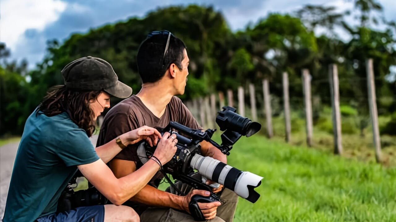 Wildlive Expeditions