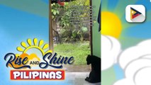 Sunshine Stories | Video ng pagpapatuloy ng isang babae sa isang aso sa gitna ng ulan, pagpaantig sa puso ng netizens