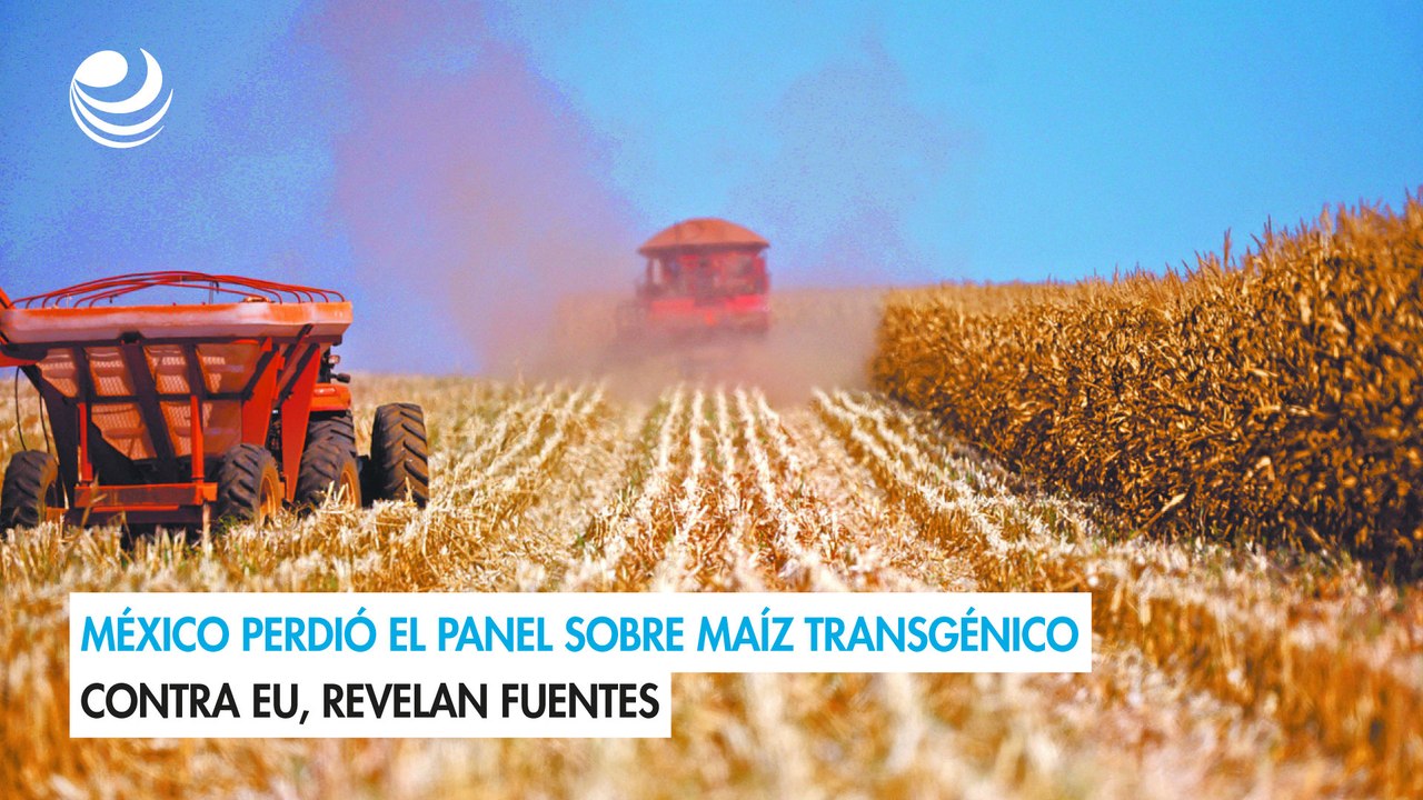 México perdió el panel sobre maíz transgénico contra EU, revelan fuentes