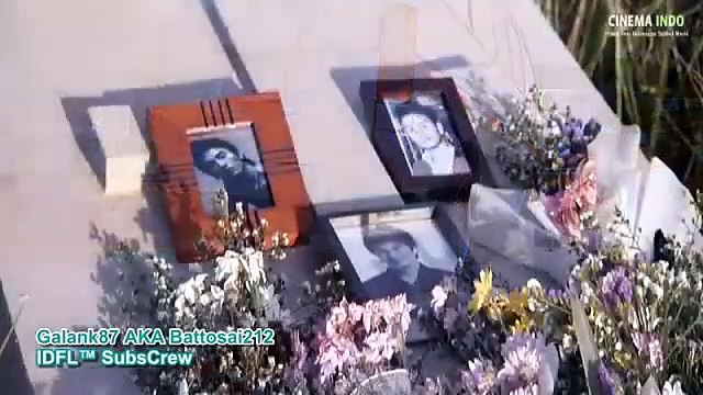 The Cinderella (Nang phi) (2011)